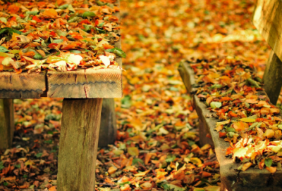 ​万圣节专属的心情说说短语221个