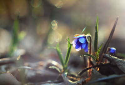 ​微博语录心情签名一句话180个