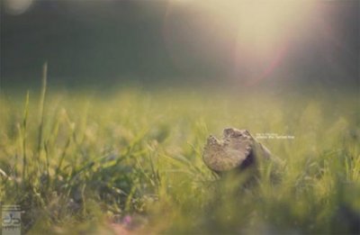 ​对女友说晚安暖心句子 暖心晚安简短的句子(40条)