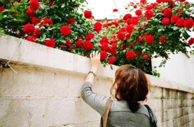 ​小说经典语录大全