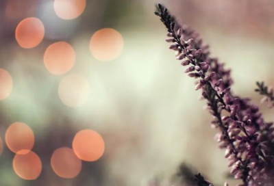 ​朋友圈考试加油文案