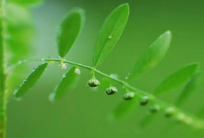 ​又要上班的说说心情（精选推荐）