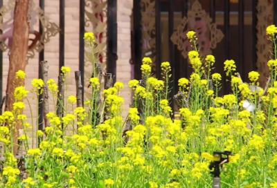 ​关于午安说说心情短语 适合中午发说说的句子（精选）