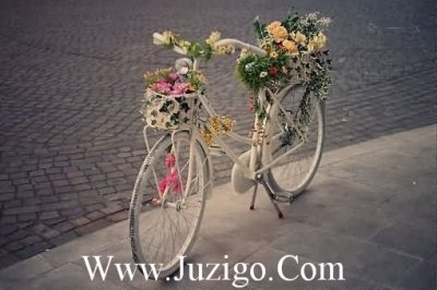 ​有关经典语句语录有关家的经典语句(精选80句)