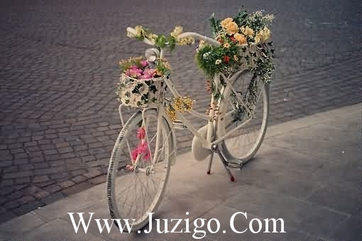 有关经典语句语录有关家的经典语句(精选80句)