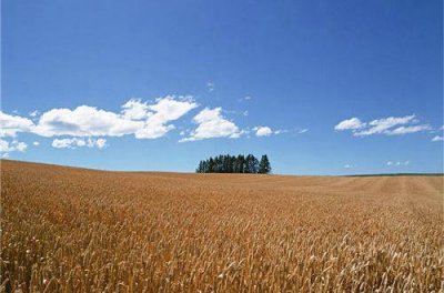 ​遇见某人很幸运的句子 关于遇见的唯美短句(精选32句)