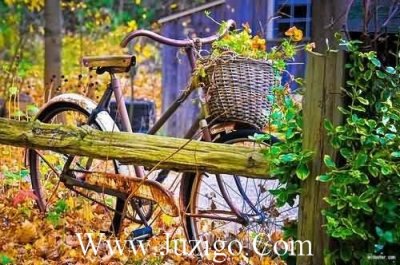 牙医经典语录牙医的经典