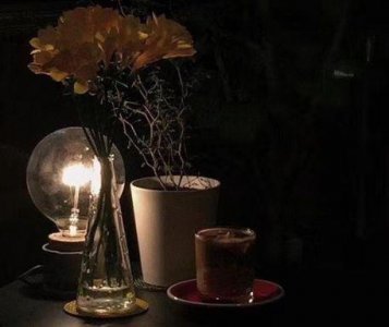 ​表达爱的句子经典短句(39句)