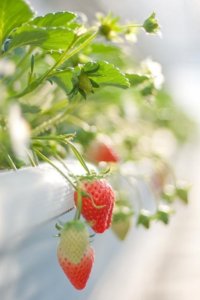 ​幽默的哲理句子,幽默有哲理的句子