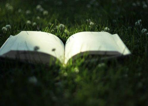 有关勤奋变优秀的简短句子