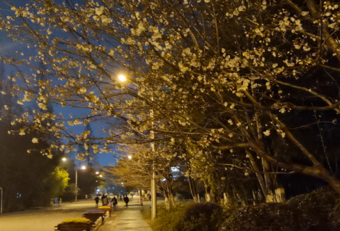 1708292093448717.png image.png