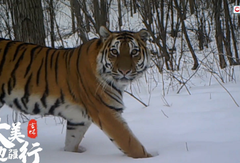 1708256047768357.png image.png