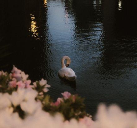 2026年值得分享的正能量句子