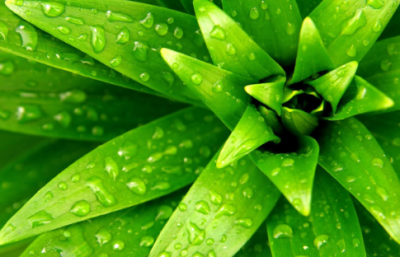 ​骨骼惊奇的经典语录 【骨骼惊奇台词】