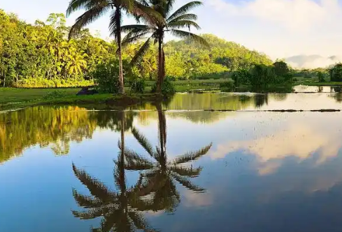 1755762339839096.png image.png