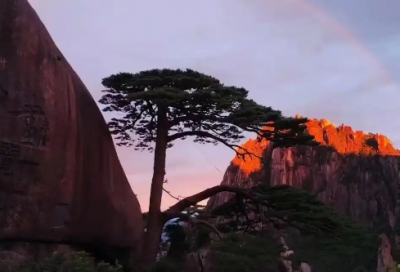 ​武警霸气语录 【武警语录 经典】