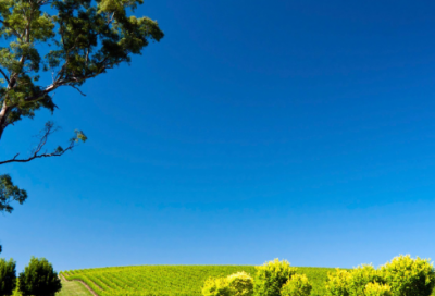 ​闺蜜简短语录 【闺蜜短句句子】