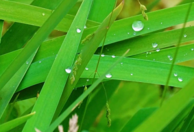 ​赤井秀一经典语录 【赤井秀一经典语录英语】