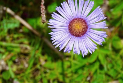 ​高中毕业语录经典语录-77句