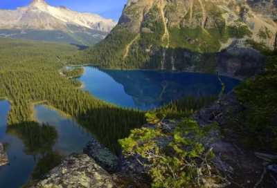 ​情侣睡前语录 【情侣睡前所要说的一句话】