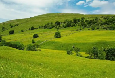 ​佛语语录 【佛语经典语录 句子】