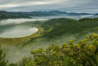 ​粉色系唯美语录 【粉色唯美句】