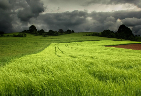 1755772092868168.png image.png