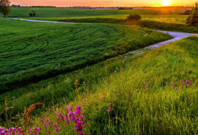 ​2024正能量语录-69句