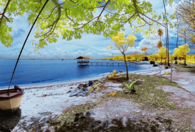 ​形容车速度快的句子 【形容车速度快的句子唯美】