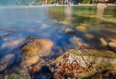 ​红高粱经典语录 【红高粱经典语录大全】