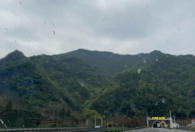 ​茶的励志语录 【茶的励志句子】