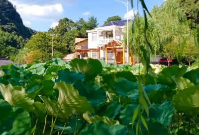 ​打篮球的经典语录 【打篮球经典语录英语】