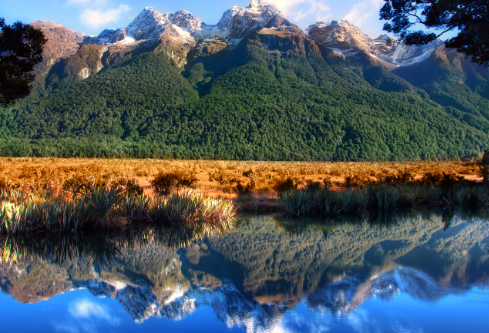 1755775757754802.png image.png