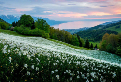 ​人物语录 【盗墓笔记人物语录】