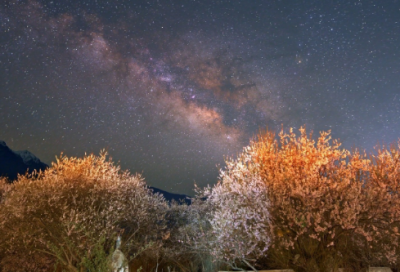 ​2012经典语录 【2012经典语录大合集】