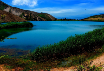 ​炒酸奶语录 【炒酸奶的文案】