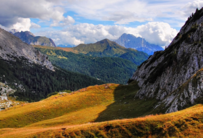 ​酒文化的经典语录 【酒文化的经典语录 和谐社会】