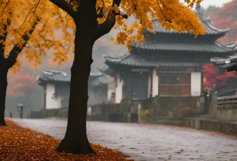 1755782488964096.png image.png