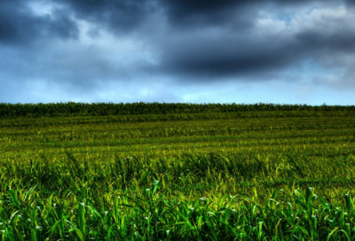 ​高考语录 【高考语录励志的句子简短】