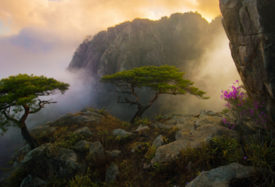 ​救援正能量语录 【救援正能量语录大全】