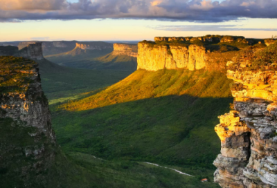 ​阿狸语录经典语录 【阿狸经典语录大全治愈】