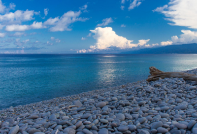 ​爱岗敬业励志语录 【赞扬工作态度和敬业精神】