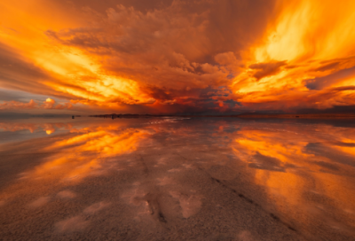 ​关于防疫的正能量语录 【防疫正能量文案】