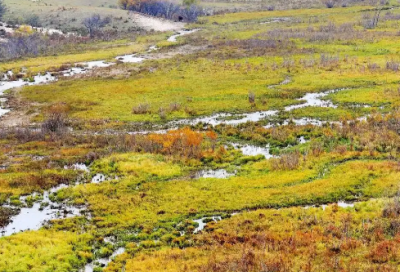 ​竞技体育精神经典语录 【体育竞技精神话语】