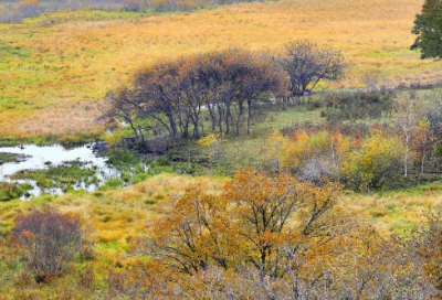​一家四口经典语录 【一家四口经典语录简短】