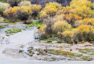 ​大护法经典语录 【大护法经典名句】