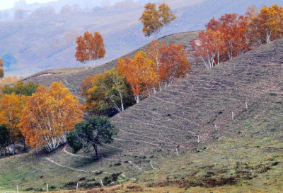 ​关于矫情的经典语录 【关于矫情的语句】