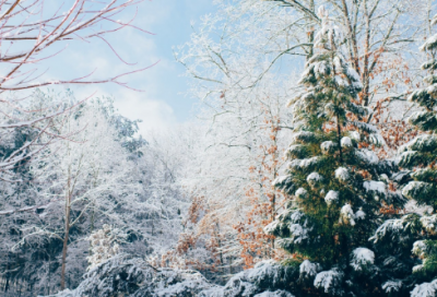 ​看淡人生的语录 【看淡人生的经典语录】