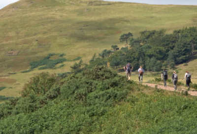 ​职场正能量的励志语录 【职场 正能量】