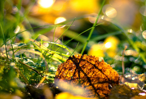 1755789515282529.png image.png